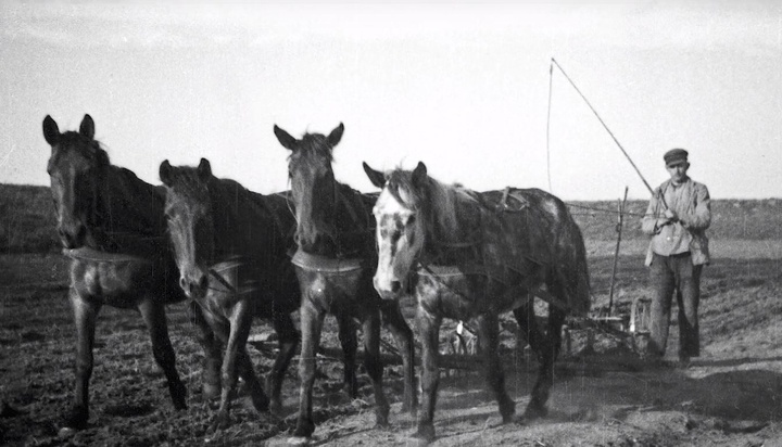 Horses-Plowing