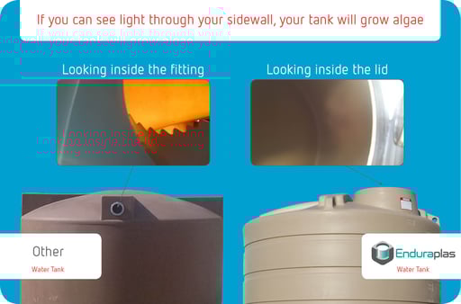 Simple Test Will Algae Grow in Your Water Storage Tank?